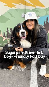 Instagram post by @eatlikenhi