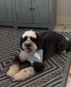 Instagram post by @quincieandzach