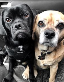 Instagram post by @blonde_vibe