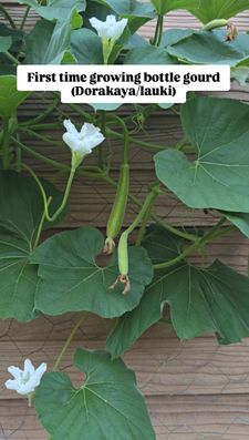 Instagram post by @subbucooks