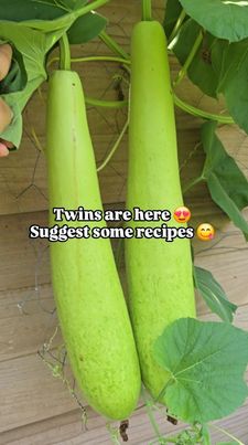 Instagram post by @subbucooks