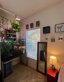 Instagram post by @roxys.reptiden