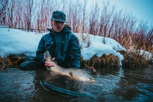 Instagram post by @funky_fly_guy