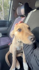 Instagram post by @funky_fly_guy