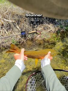 Instagram post by @funky_fly_guy