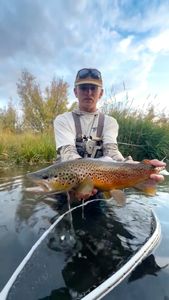 Instagram post by @funky_fly_guy