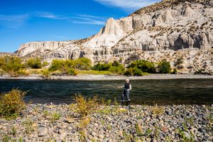 Instagram post by @funky_fly_guy