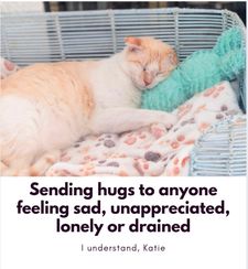 Instagram post by @katie_cats_sims