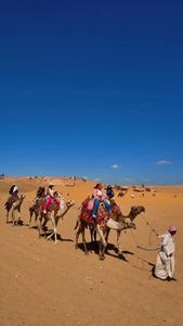 Instagram post by @bcfxo