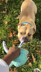 Instagram post by @rel.b