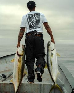 Instagram post by @california_current