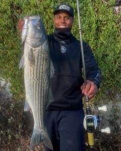 Instagram post by @california_current