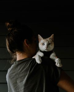 Instagram post by @florawellness