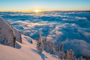 Instagram post by @ming.t.poon