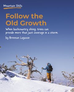 Instagram post by @ming.t.poon