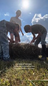 Instagram post by @shesrootedhome