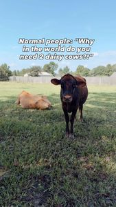 Instagram post by @urban_farmwife