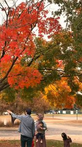 Instagram post by @noordoesthings