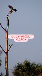 Instagram post by @dnareptiles95