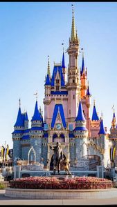 Instagram post by @dnareptiles95