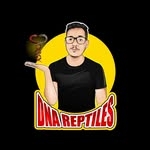 @dnareptiles95 Instagram Profile