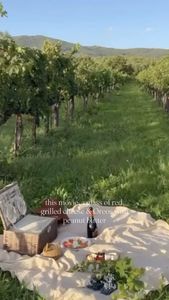 Instagram post by @crystalhausoftreasures