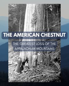 Instagram post by @tiffanyonthetrail