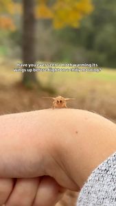 Instagram post by @tiffanyonthetrail