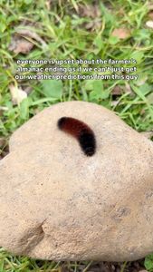 Instagram post by @tiffanyonthetrail