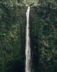 Instagram post by @laceyelizabeth