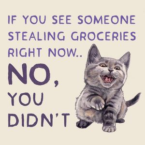 Instagram post by @meganlynnkott