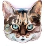 @meganlynnkott Instagram Profile