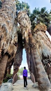 Instagram post by @tribeonaquest