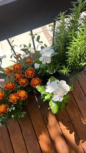 Instagram post by @brits_table