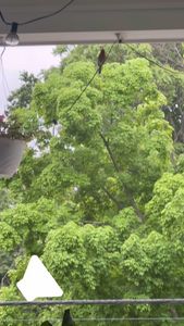 Instagram post by @makeupbymatthewmbm