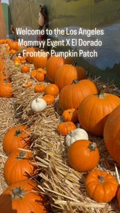 Instagram post by @lamicrobrow