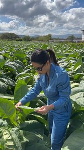 Instagram post by @cigarlover12