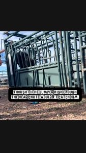 Instagram post by @wyowagyu