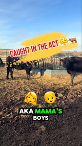 Instagram post by @wyowagyu