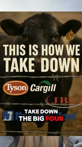 Instagram post by @wyowagyu