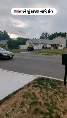 Instagram post by @sparky_amigos