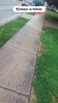 Instagram post by @sparky_amigos