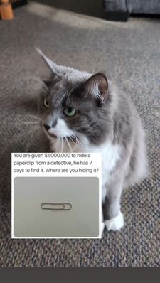 Instagram post by @bilbo_fluffins