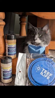 Instagram post by @bilbo_fluffins