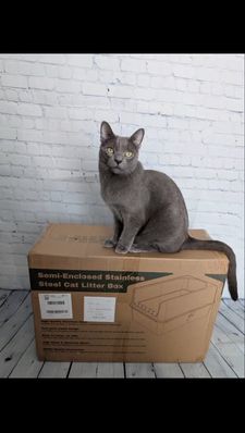 Instagram post by @bilbo_fluffins