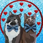 @bilbo_fluffins Instagram Profile