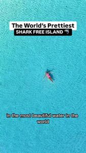 Instagram post by @thetravelmentors