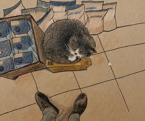 Instagram post by @eileendoodles