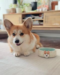 Instagram post by @lacorgi