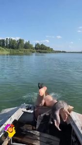 Instagram post by @jaytizal